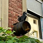 Zur Gasse Apartament *