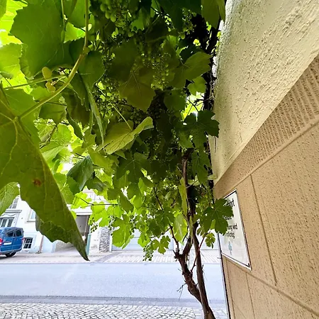 Apartment Zur Gasse