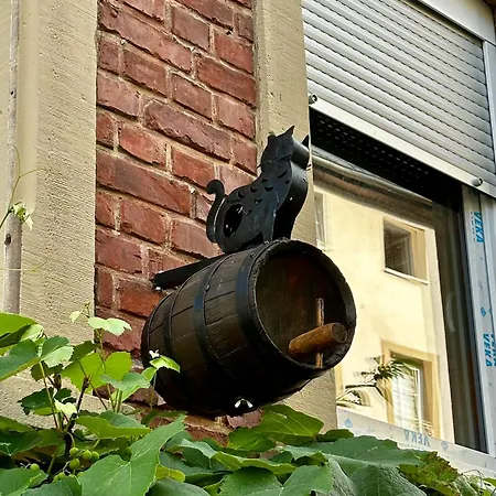 Zur Gasse Apartment *