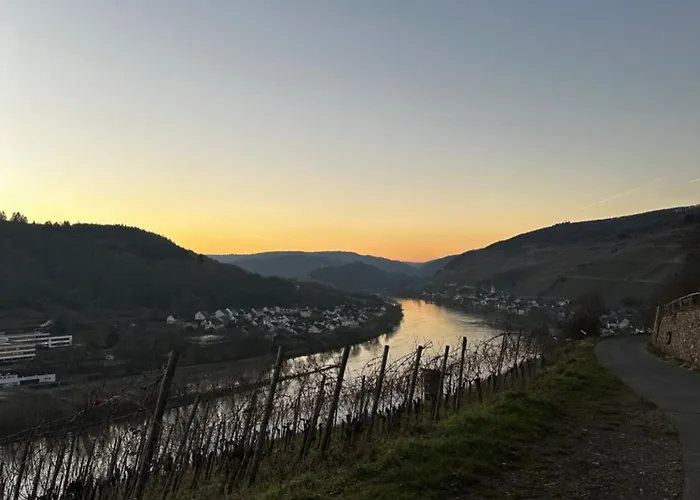 Zur Gasse Zell an der Mosel